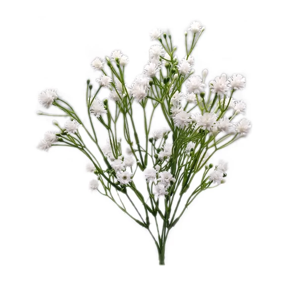 Rezgőcsokor bogyókkal, fehér