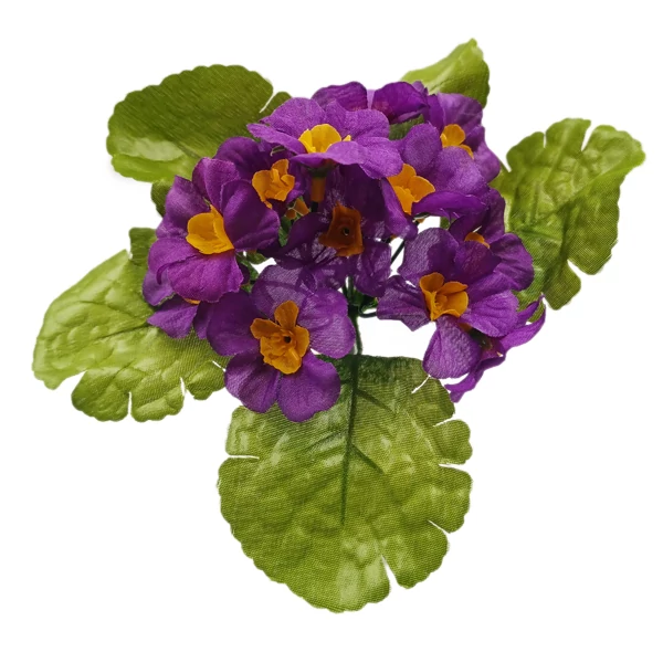 Primula csokor, lila