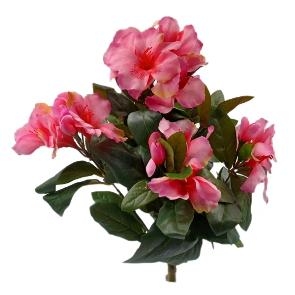 Rhododendron bokor, rózsaszín