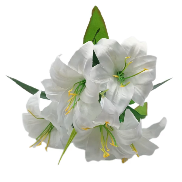Liliomcsokor, hófehér