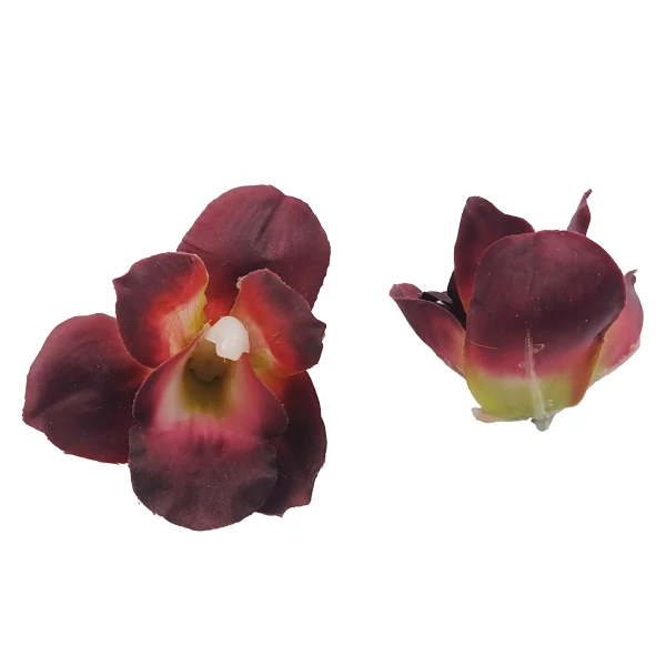 Gumi orchidea fej, bordó