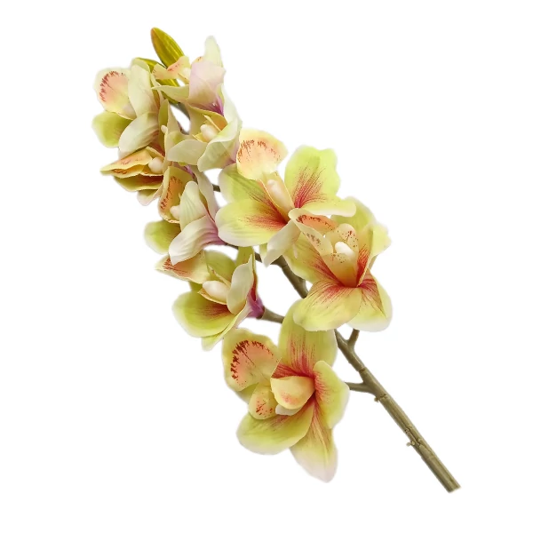 Gumi orchidea 90 cm, halványzöld-pink