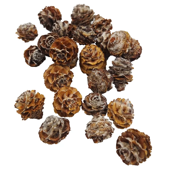 Tortum termés, natúr