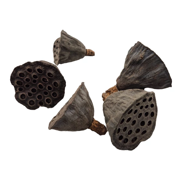 Lótusz közepes, natúr