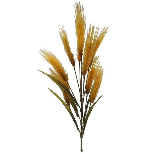 Búza csokor, érett sárga