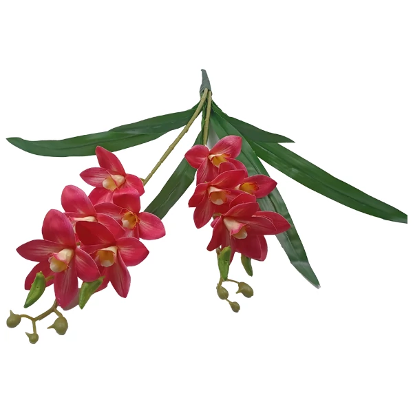 Orchidea (cymbidium), pink