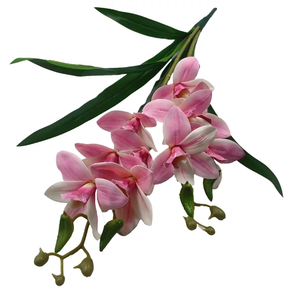 Orchidea (cymbidium), világos rózsaszín
