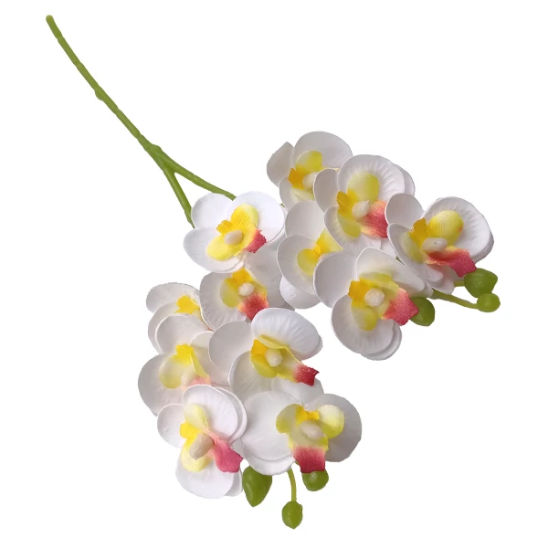 Orchidea mini, fehér