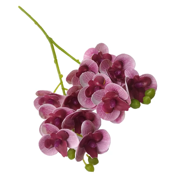 Orchidea mini, lila