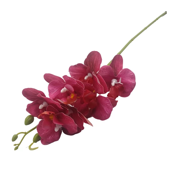 Gumi orchidea 60 cm, bordó