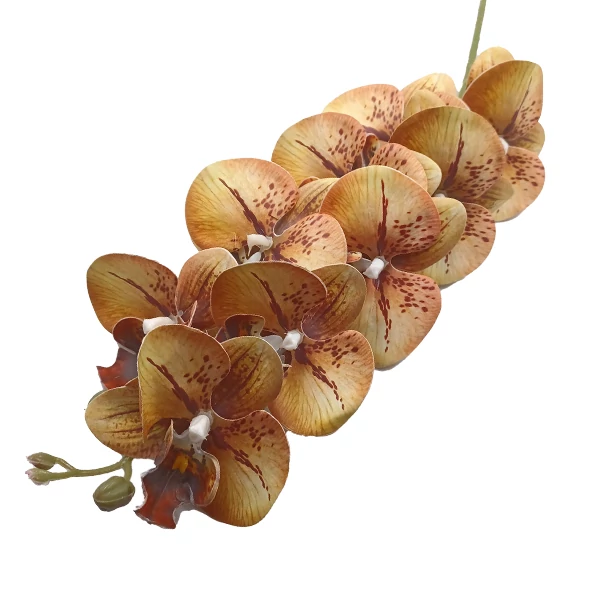 Orchidea 9 virág, barna-sárga