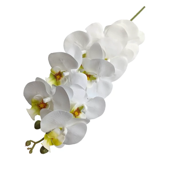 Orchidea 9 virág, fehér