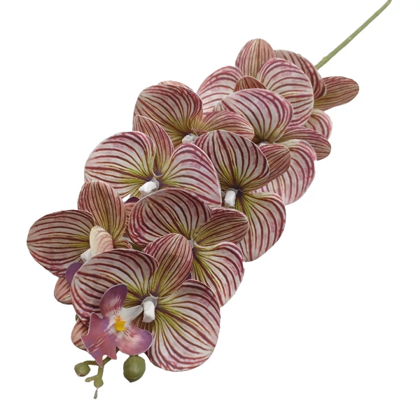 Orchidea 9 virág, lila cirmos