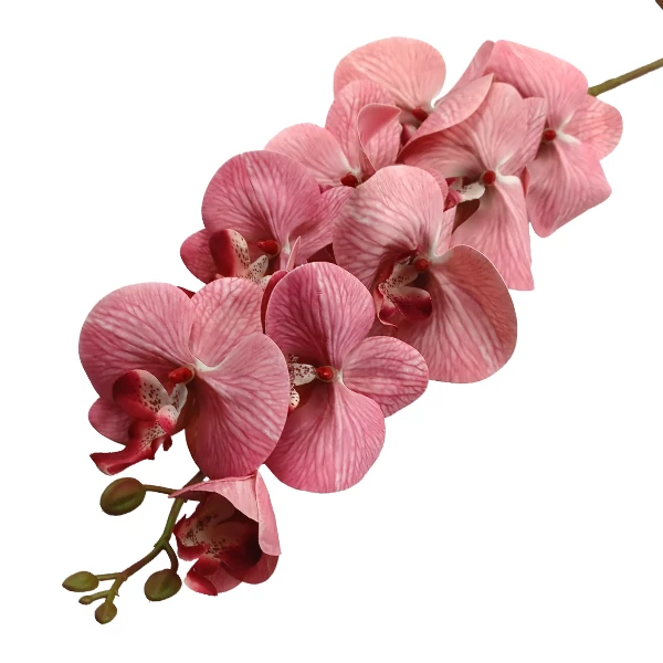Orchidea 9 virág, világos mályva