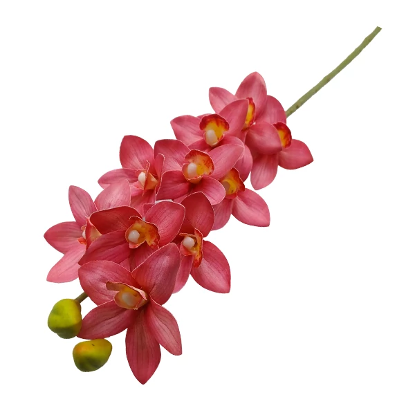 Orchidea (cymbidium), sötét rózsaszín