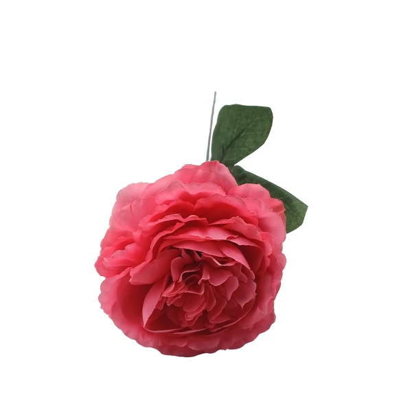 Peony nagy szál, ciklámen
