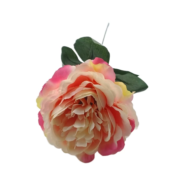 Peony nagy szál, rózsaszín-krém