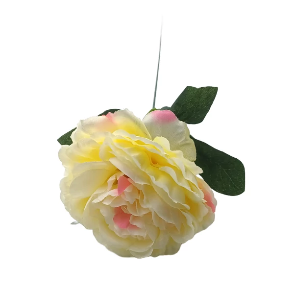 Peony nagy szál, vaj