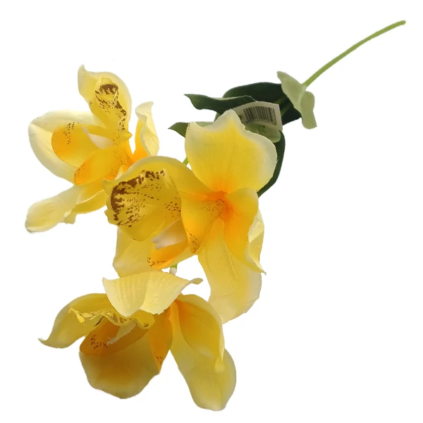 Szatén orchidea ág, sárga