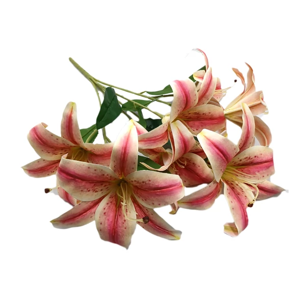 Liliom csokor, krém-rózsaszín