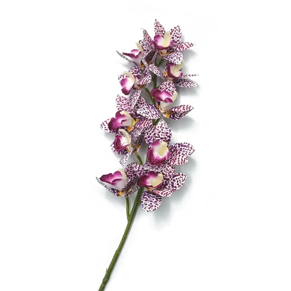 Orchidea szál, lila