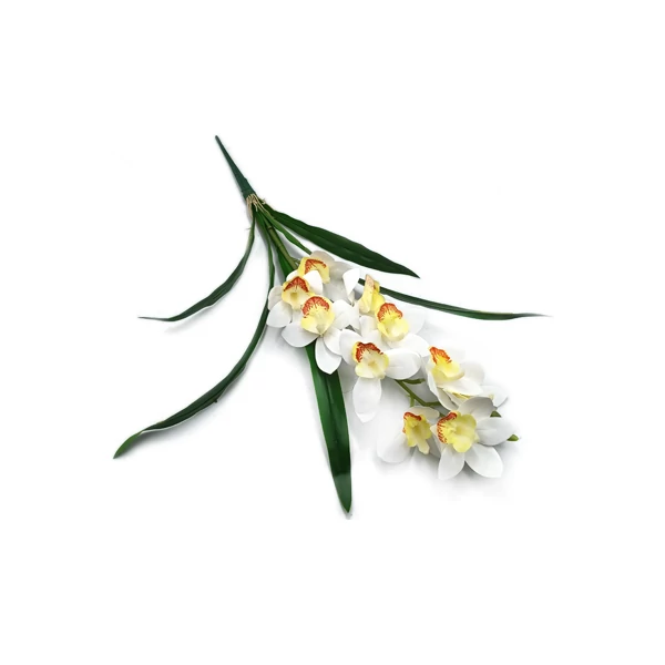 Gumiorchidea levélcsokorral, fehér