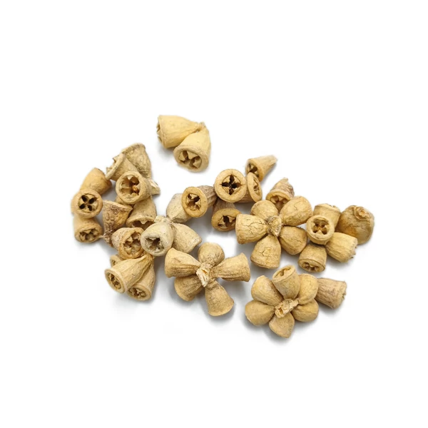 Eukaliptusz mini, fehér