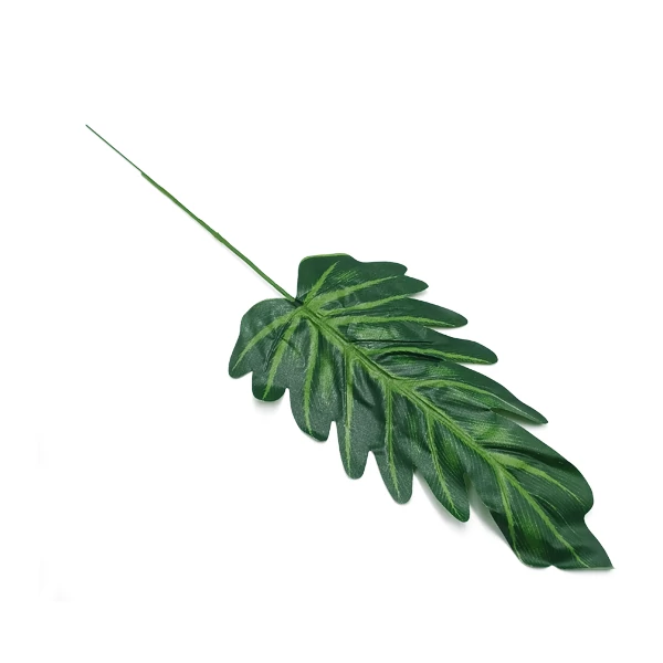 Philodendron levél